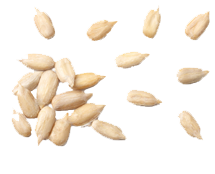 products-1